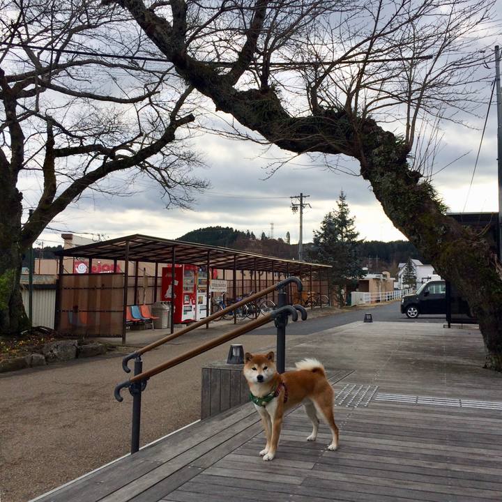 9b6af285 1702 4cb4 974c 0d0f5584d9bb 1516259216387