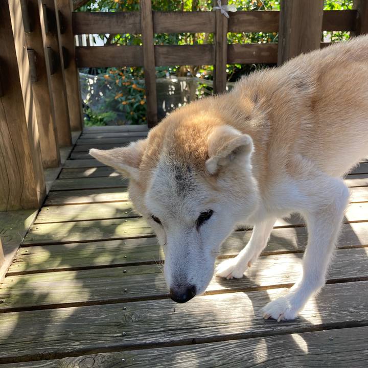 9b6b2b76 2262 4fa7 b04d a1453518c05a 1603169081440