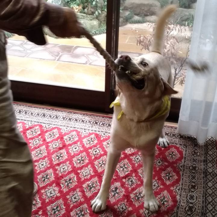 9b6b5fa2 0295 4391 833c e8b22ade9eec 1547274727184