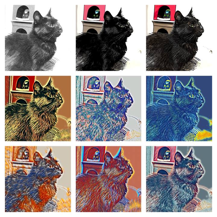 9b6b6b6e a309 493d aae9 2c5cfe887863 1584439946581