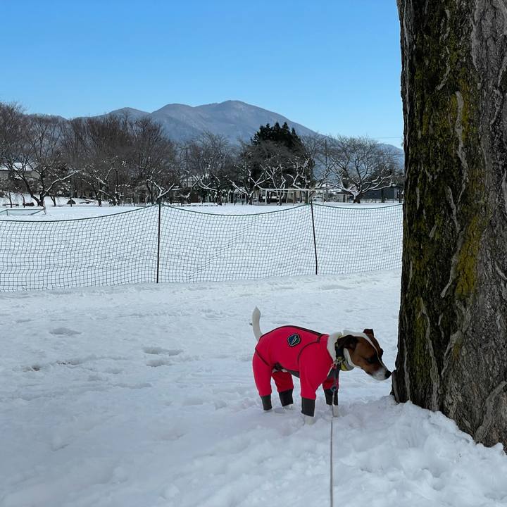 9b6b7bab a382 435a a094 c535d1001fee 1642310272496