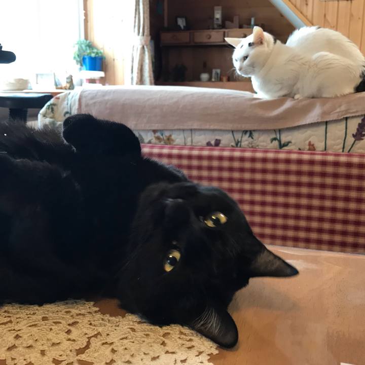 9b6ba25e e970 401f 852f f83a1645f514 1645310008665