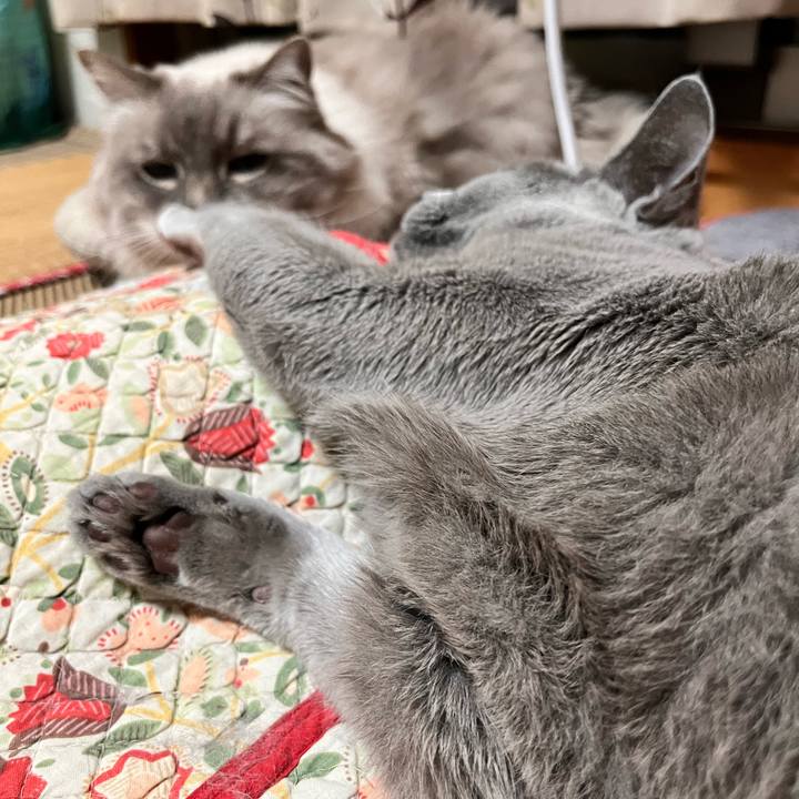 9b6bb623 6add 46c1 a1b9 96a526ea699a 1671544241773