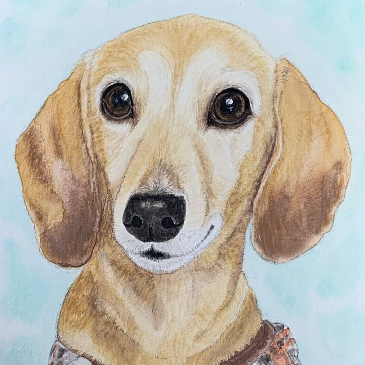 9b6c1a27 2bab 4f9e a41e 8e2309b887f8 1695518791007