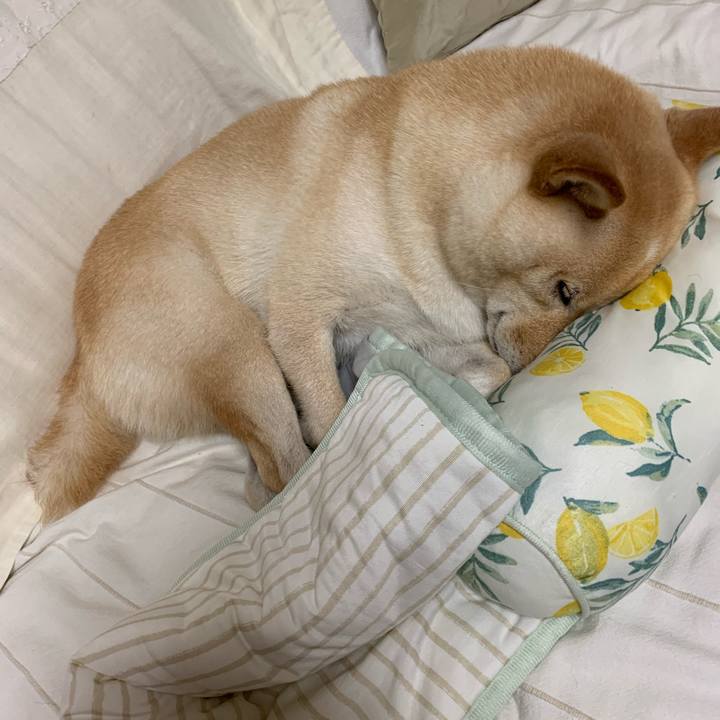 9b6ce099 c13a 4a24 bf1c 28c11c7d3599 1631361397776