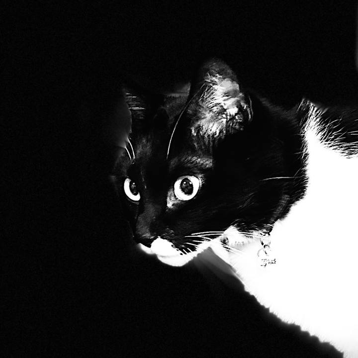 9b6d2cfb 55bb 4a82 b61f 25a90c1db8cb 1614652990674