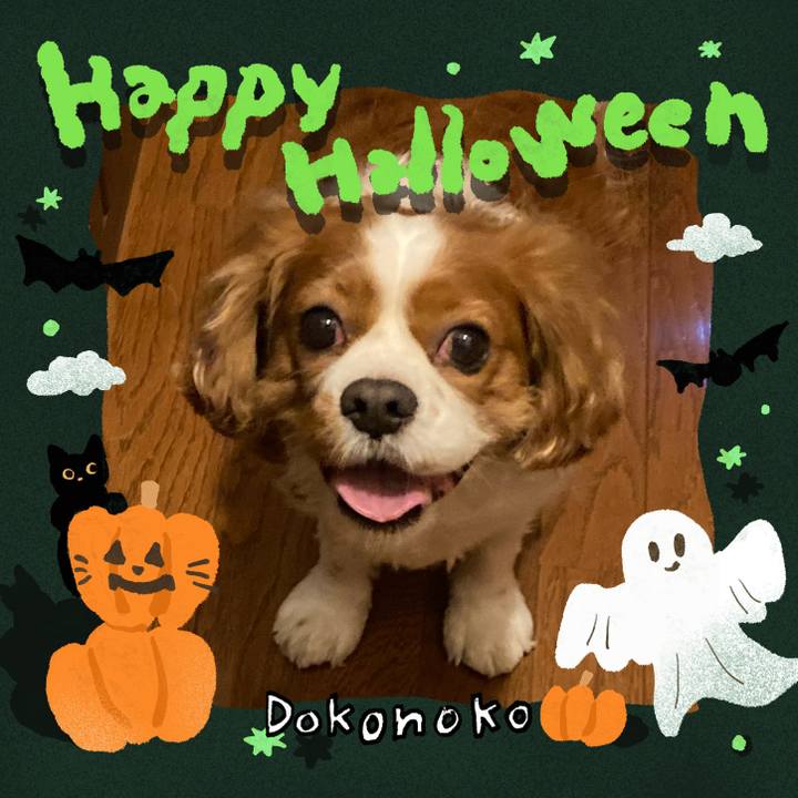 9b6d2fb6 d85d 41f0 8a9f 197f3676f71b 1730294953977