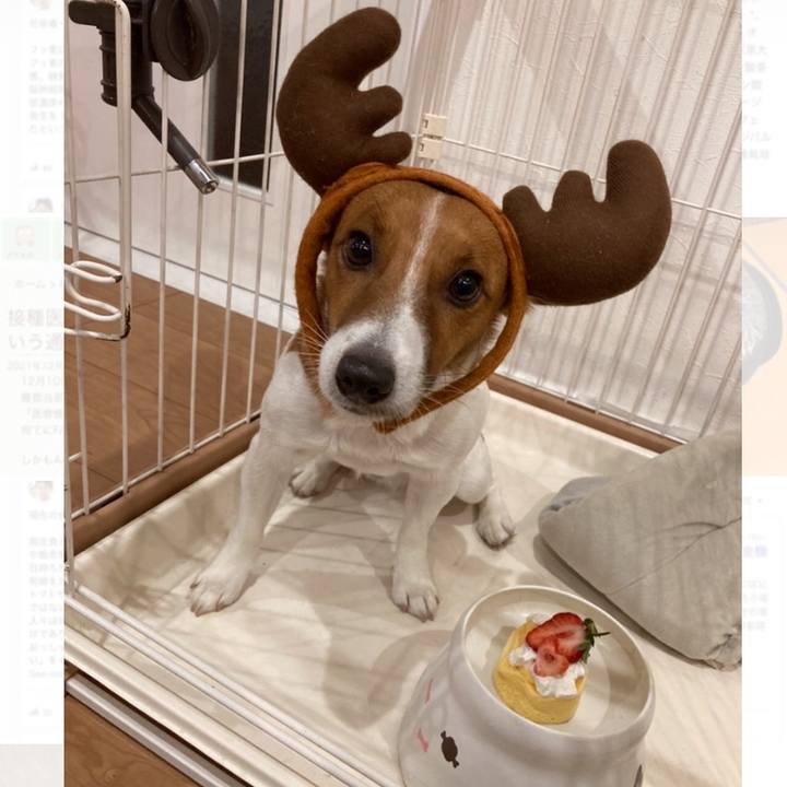 9b6d3ca9 9651 4ff3 9dda a3b25ad04731 1640428647610