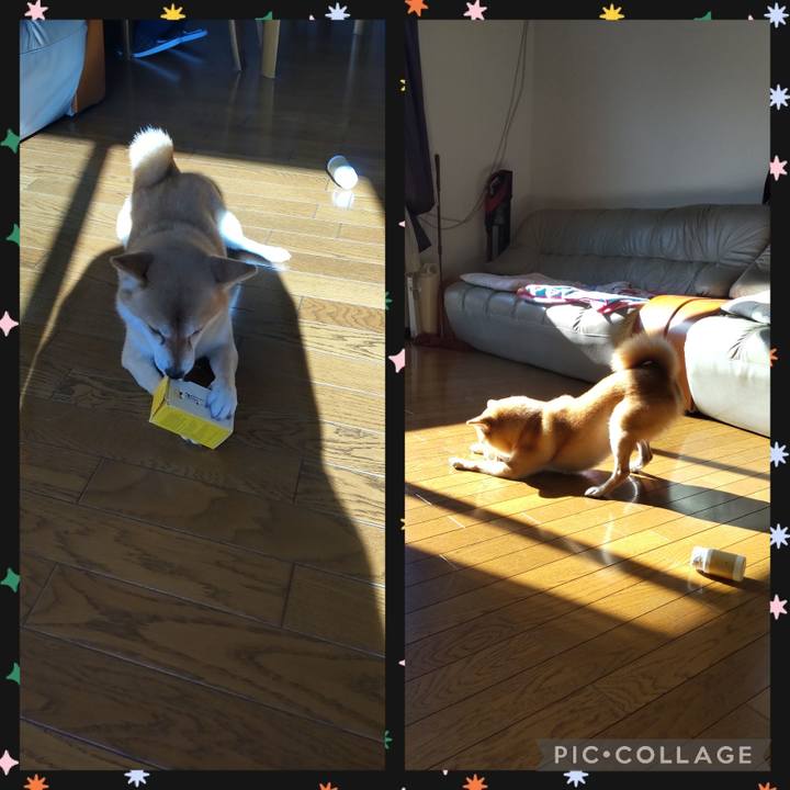 9b6d71f9 eeb8 49ff 8427 d75fa89621f1 1733019078698