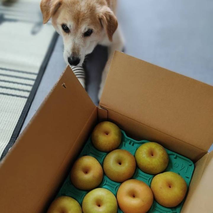 9b6d7a74 3b73 465b 829e 74c57dd5cf3b 1661161803393