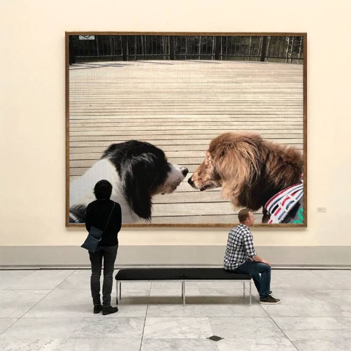 9b6d9a6d b156 4db7 8a68 8e8c1efaf02b 1625448196199