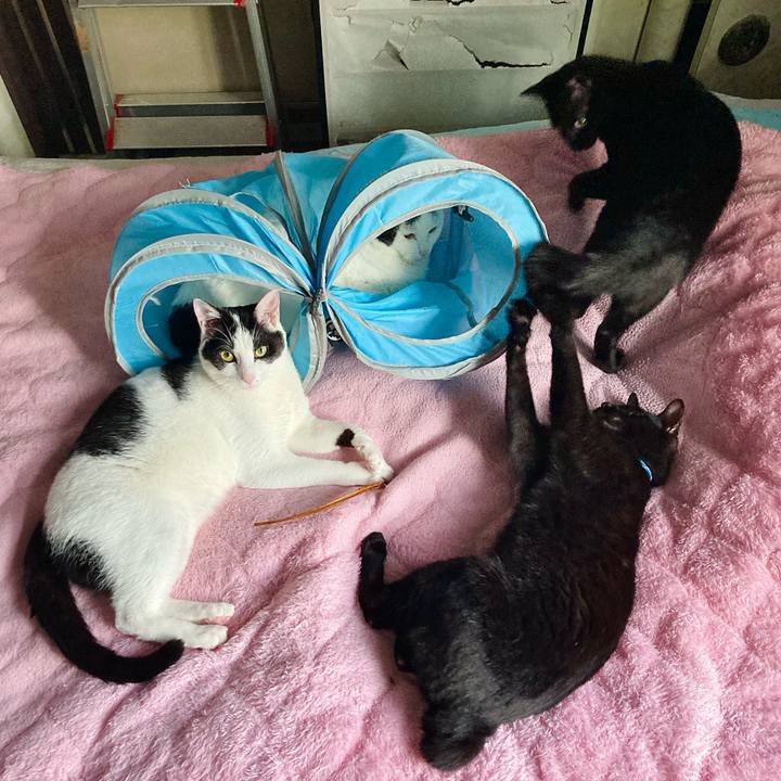 9b6db567 41f4 428b 811f 3b32261126ab 1654232224490