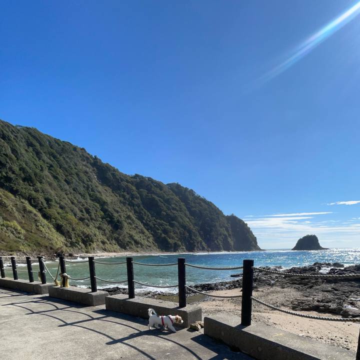 9b6df1dd 50ea 4d04 96cc 2a46e278b309 1762751405655