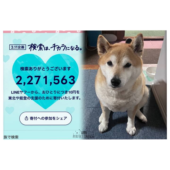 9b6e1552 54d9 47a9 85a3 9edefe8cffcc 1710116321827