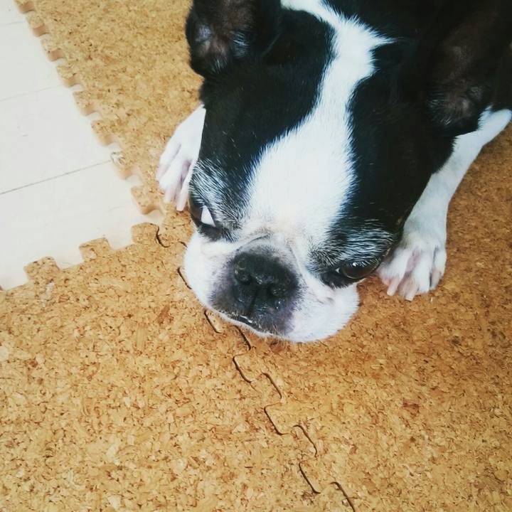 9b6e2055 b172 4366 9c24 712b4afe205e 1538351862650