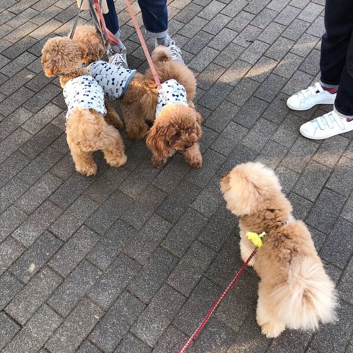 9b6e44a6 d524 4723 80f2 c4bcffca8c7e 1538129879557