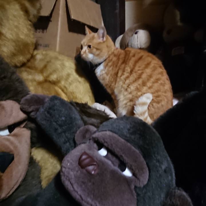 9b6e6c7b d062 4fd2 816f 84c405cd432b 1607772516336