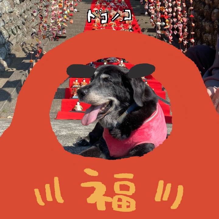 9b6e74c3 b921 4856 9cc6 ccfa39fb1527 1772453112221