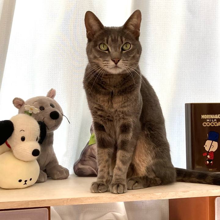 9b6f018b 27b8 4d43 9310 8f85aca43611 1609577336634