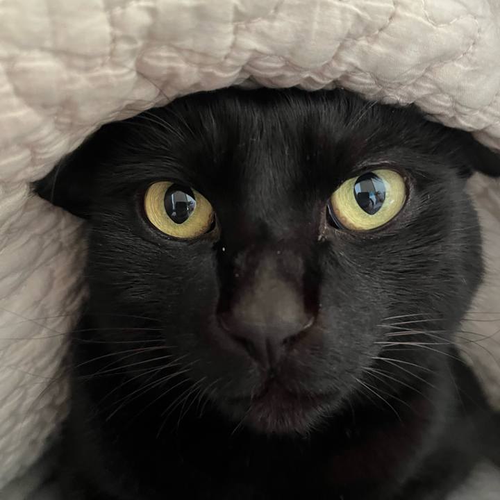 9b6f4ffc f19f 4104 974c d39c41035238 1677455696142