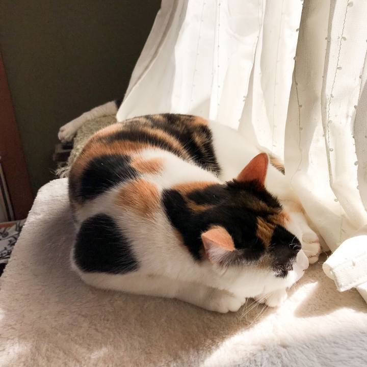 9b6f50af 1c09 4017 9c1e efcade62615a 1521729410537