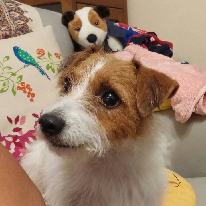 9b6fac35 d004 485e a000 07e9c472781a 1538141965245