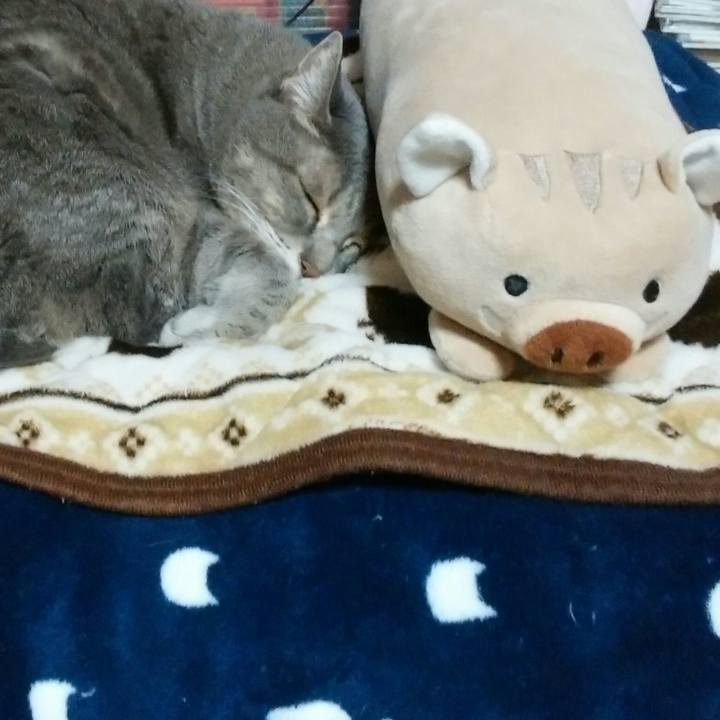 9b700b73 8990 4841 bf87 8fc9ebc9cbdd 1577538708850