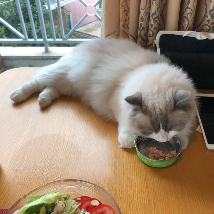 9b703af5 b278 4d0e 9332 8714e2d94e61 1625179544796