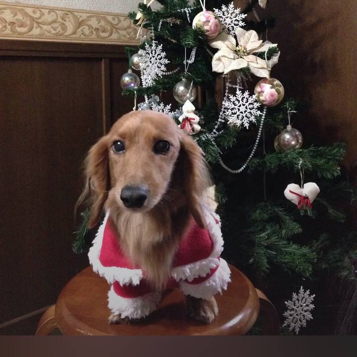 9b70b264 2633 4185 94a6 9113514143ef 1640420471178