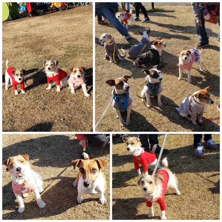 9b70ba55 c2e4 456b 9ae0 c62c944abde6 1547393635313