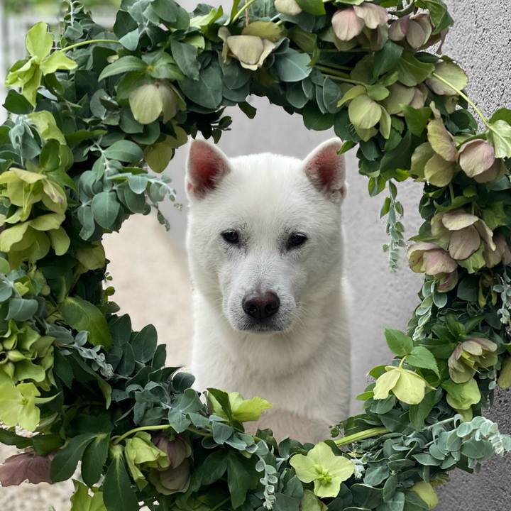 9b70cdc9 a5fd 4074 8409 ddccc415d9c7 1714295781028