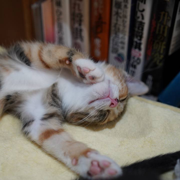 9b7129cc a2f8 4d52 b784 6677b978efcb 1567989632067