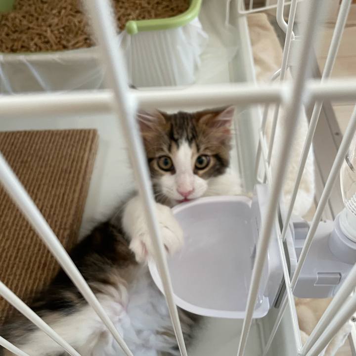 9b712b86 df30 45b1 8eb7 9acf8cdd7bb5 1632632470700