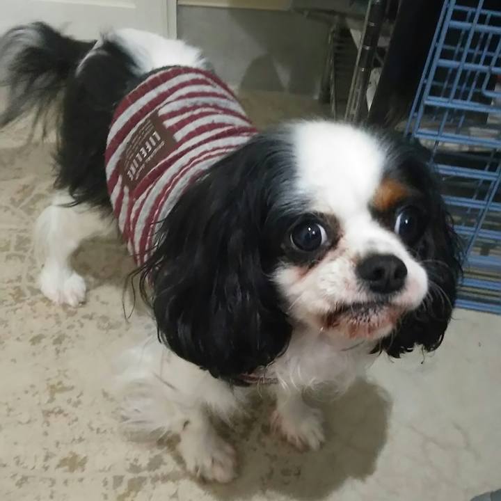 9b71342e 4507 481b 9b3f 91de399e09dd 1517287289927