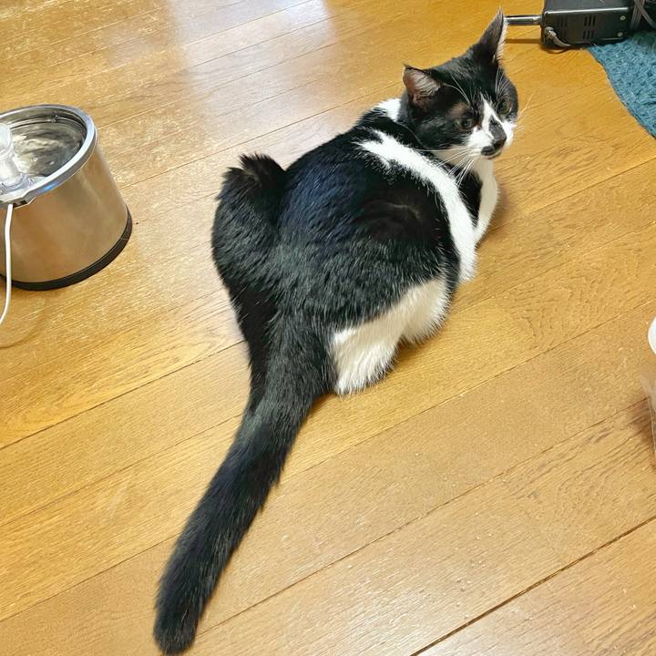 9b71640f c5cd 407e 8e7b 8541b30e553e 1759963888584