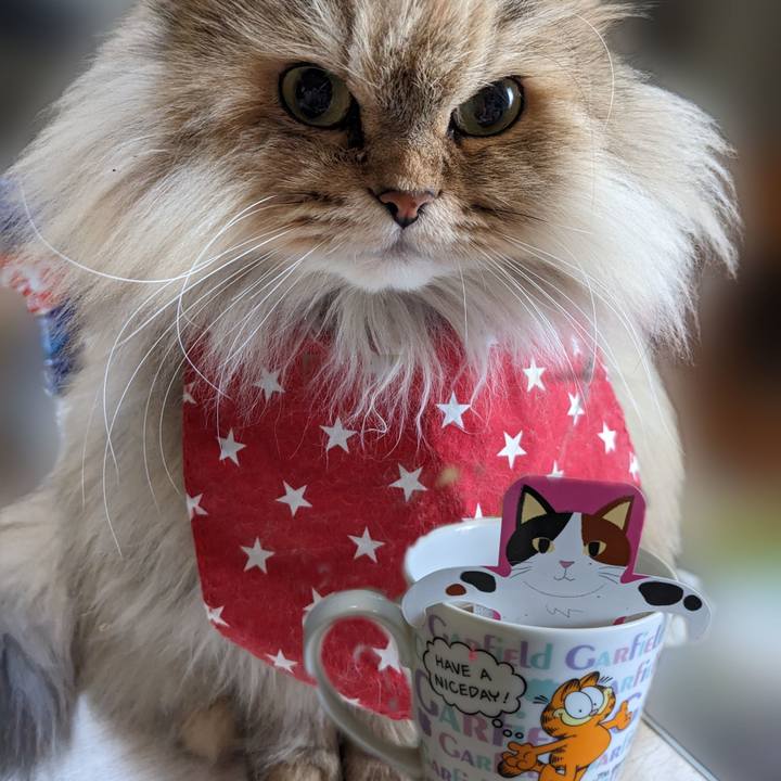 9b716708 f5c2 4adf a0e5 abefd56479c9 1672013223653