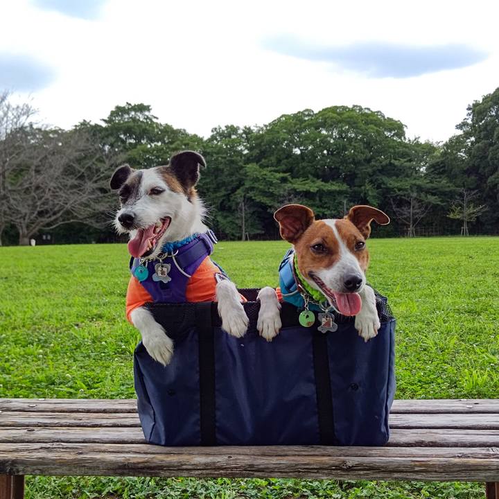 9b717161 9e27 494f aa30 6f72b816d942 1624768262688