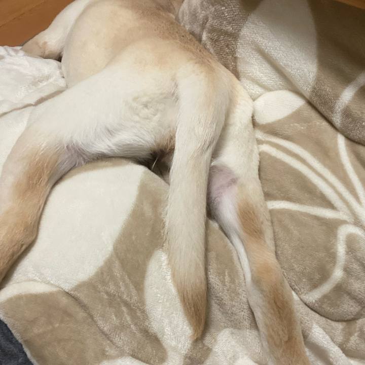 9b717297 60b4 41e5 879a 5be72b10f1c5 1614079669659