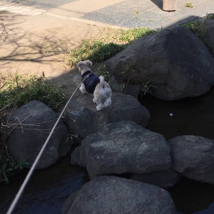 9b717ffd 96b9 459c 8d1b f18f357eb00e 1550900436105