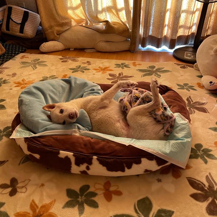 9b719059 ce26 4c35 b985 7f0633fbcdf1 1668812065979