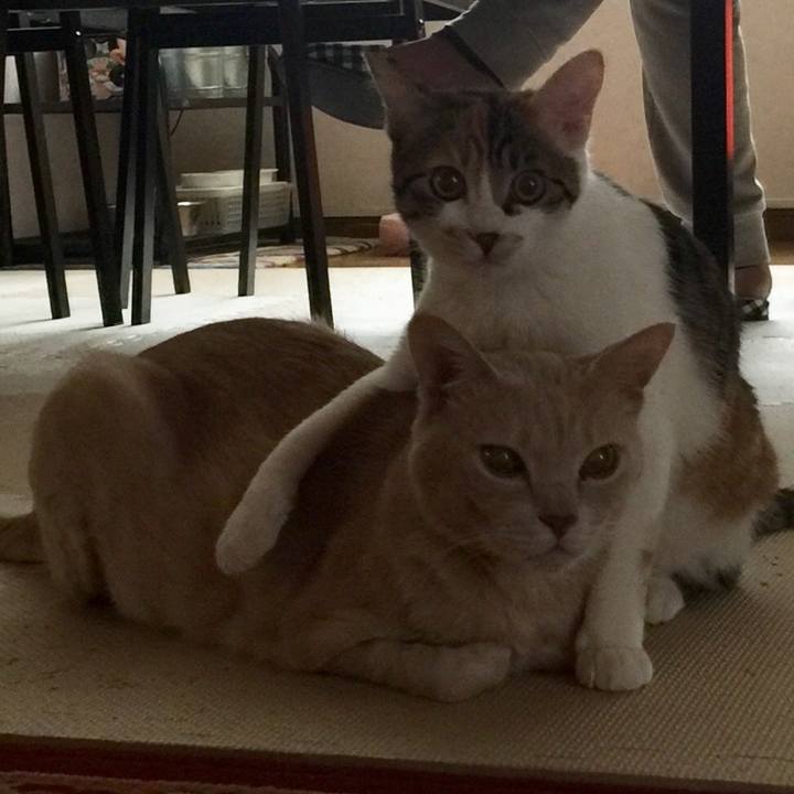 9b719d75 9c5a 4b79 97a2 814bb8c6ddb5 1640911380457