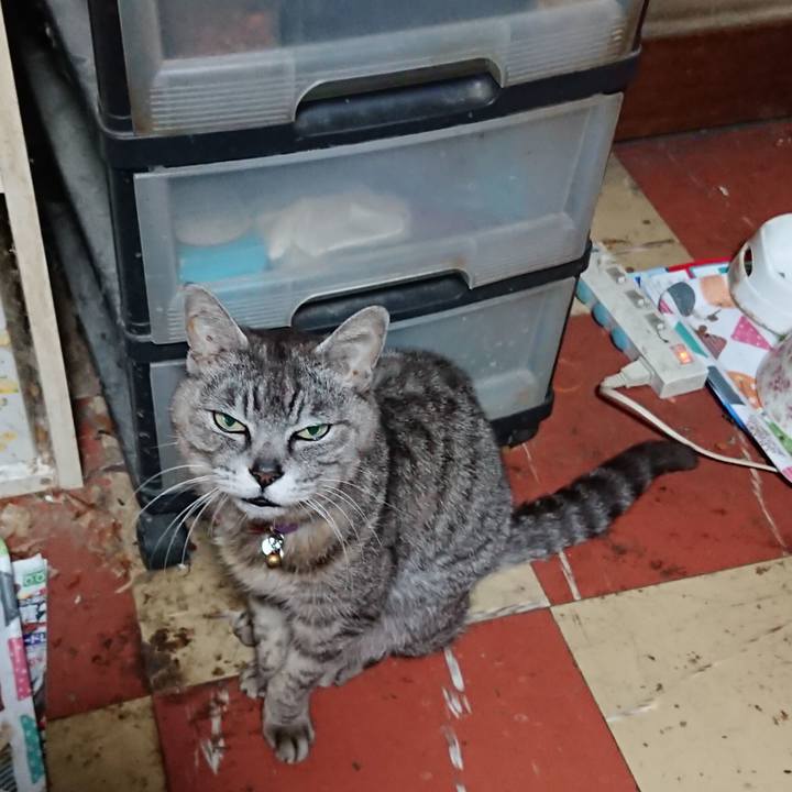 9b71b22c 9fb9 4270 b79d d60a21837a55 1592078633686