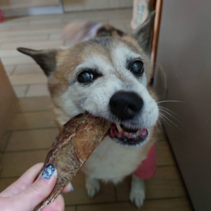 9b71b3d9 07b5 4836 a62b a52dc7881ffa 1709867749417