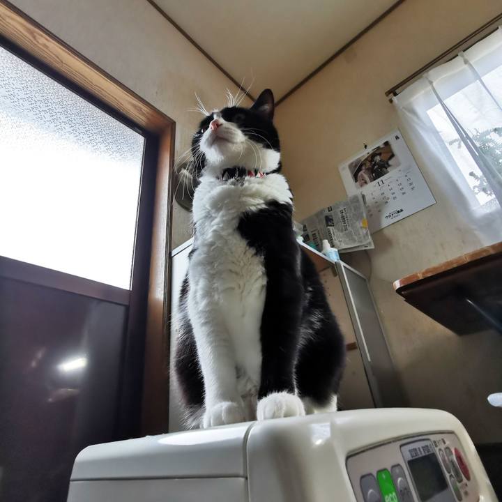 9b71cd5b a453 4436 a4bc 7f86f67c72d0 1637726769956