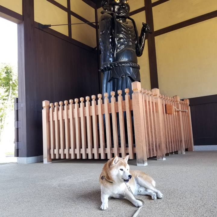 9b71cf6d 75da 4f2f 8f88 186aec8095b7 1664066427548