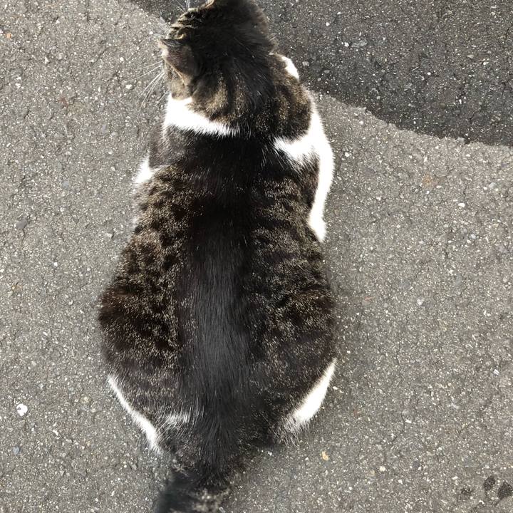 9b71cfbc a4ff 4473 b1c3 6f07dd563139 1528117005870