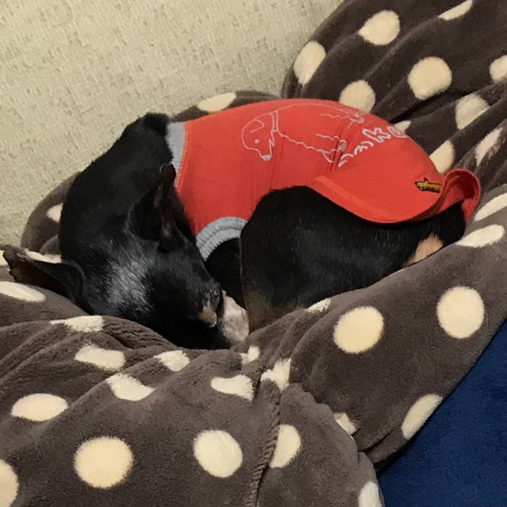 9b71d23c a13d 42c1 9a8f 17260a9467de 1511445682861