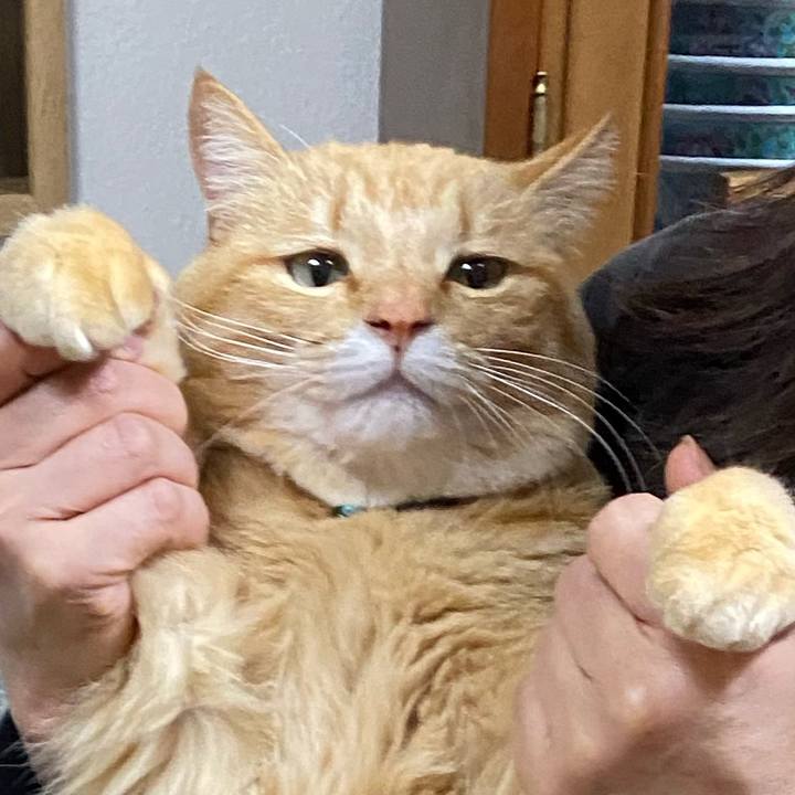 9b71d2a8 705c 4e56 8603 c98bf1ff6483 1645447738219