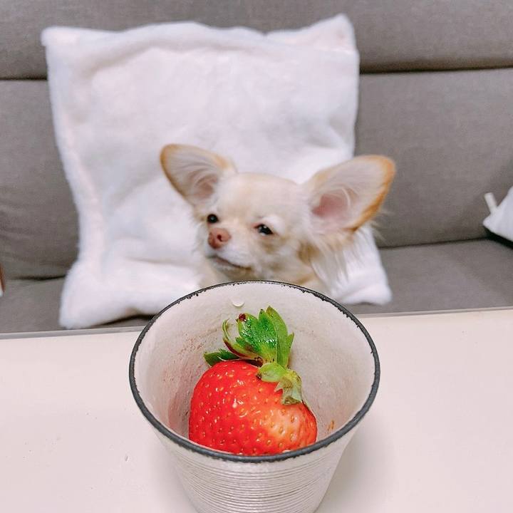 9b721797 f783 4f8a 8ee5 9cbd018ca5b6 1611959861832