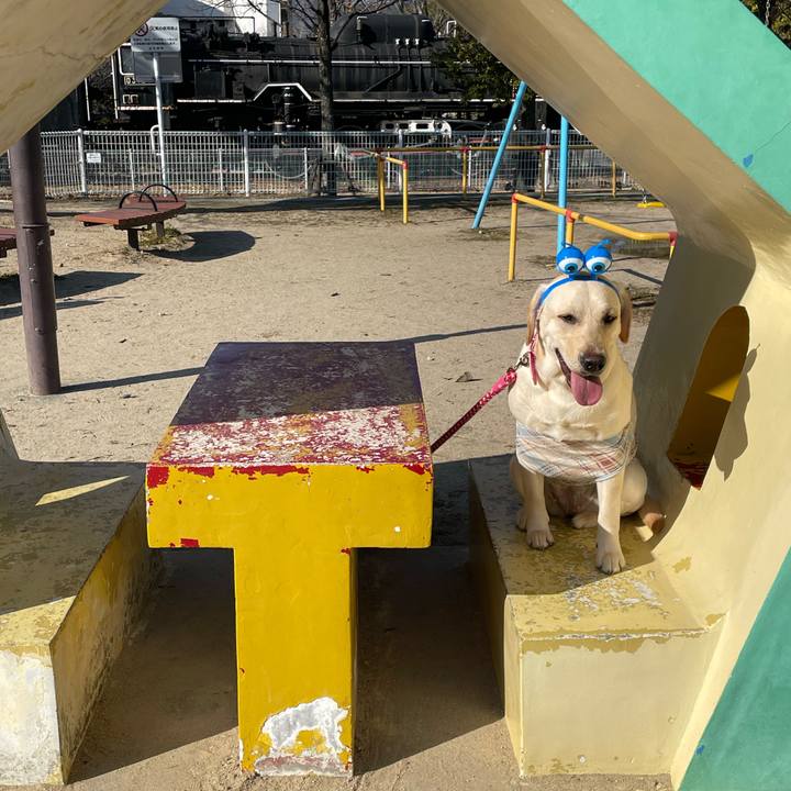 9b724a91 6e6f 4c1c 8543 8bcdea283a6a 1643102320104